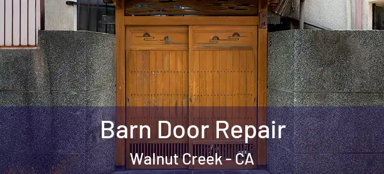  Barn Door Repair Walnut Creek - CA