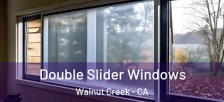  Double Slider Windows Walnut Creek - CA