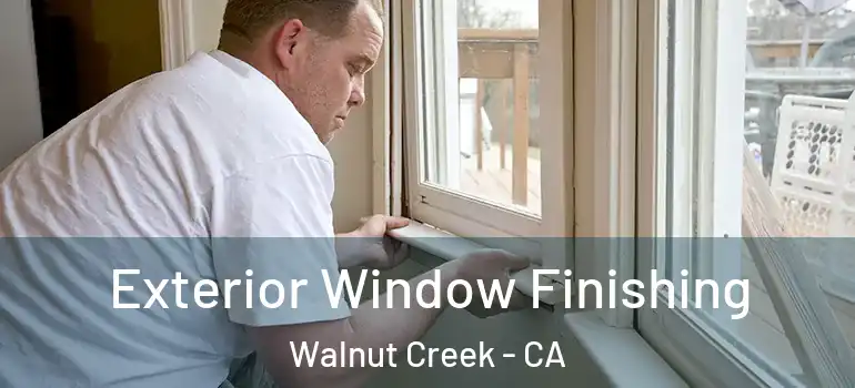  Exterior Window Finishing Walnut Creek - CA