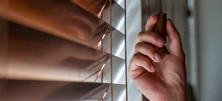 Double Roller Blinds in Walnut Creek, CA