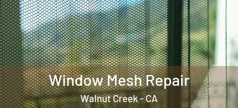 Window Mesh Repair Walnut Creek - CA